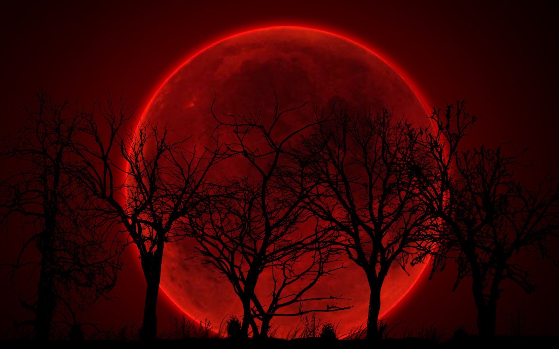 1920x1200 Red Moon Wallpaper HD, Desktop