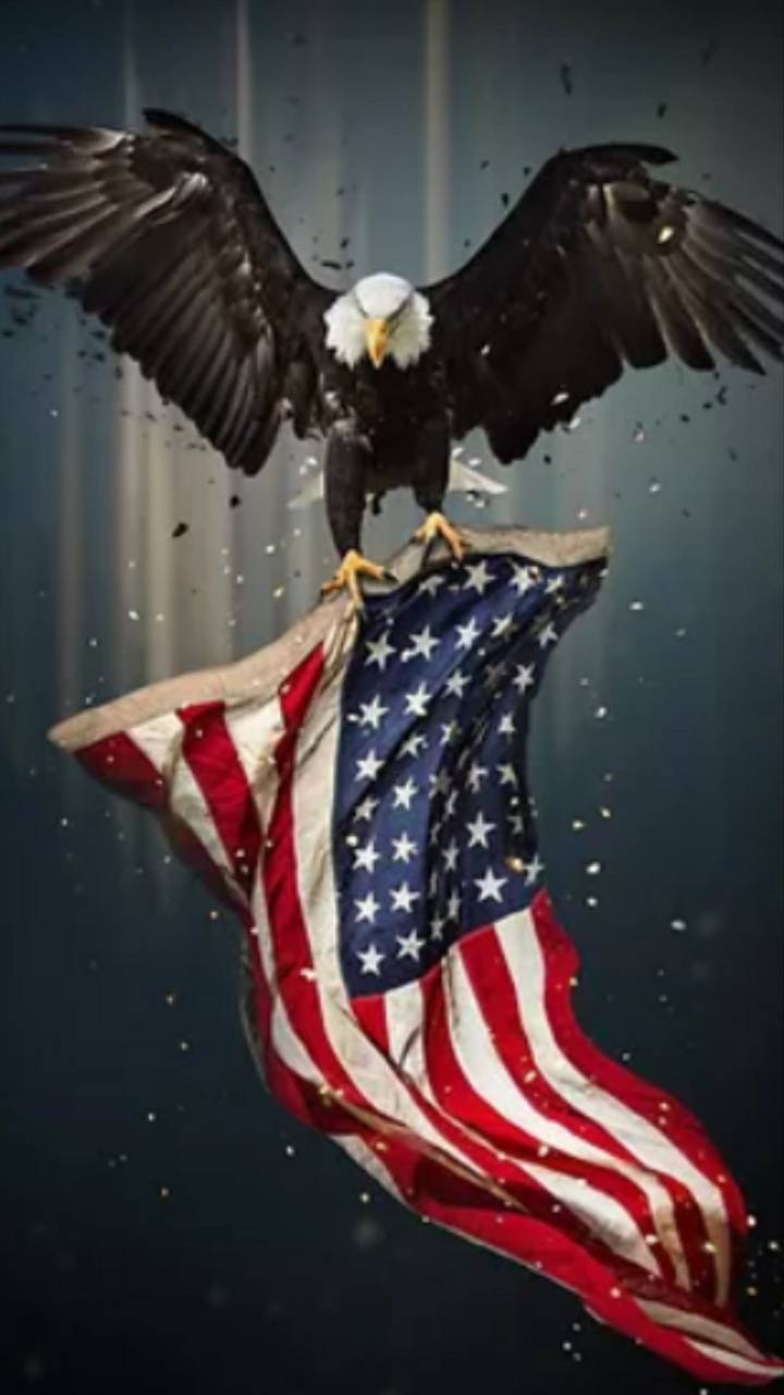 720x1280 American Eagle wallpaper, Phone