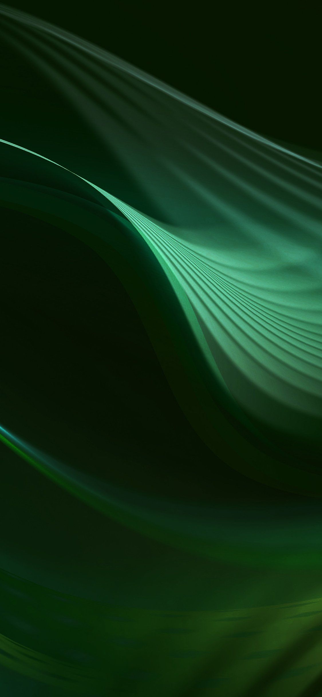 1130x2440 Dark Green Phone Wallpaper Wallpaper Popular Dark Green Phone Wallpaper Background, Phone