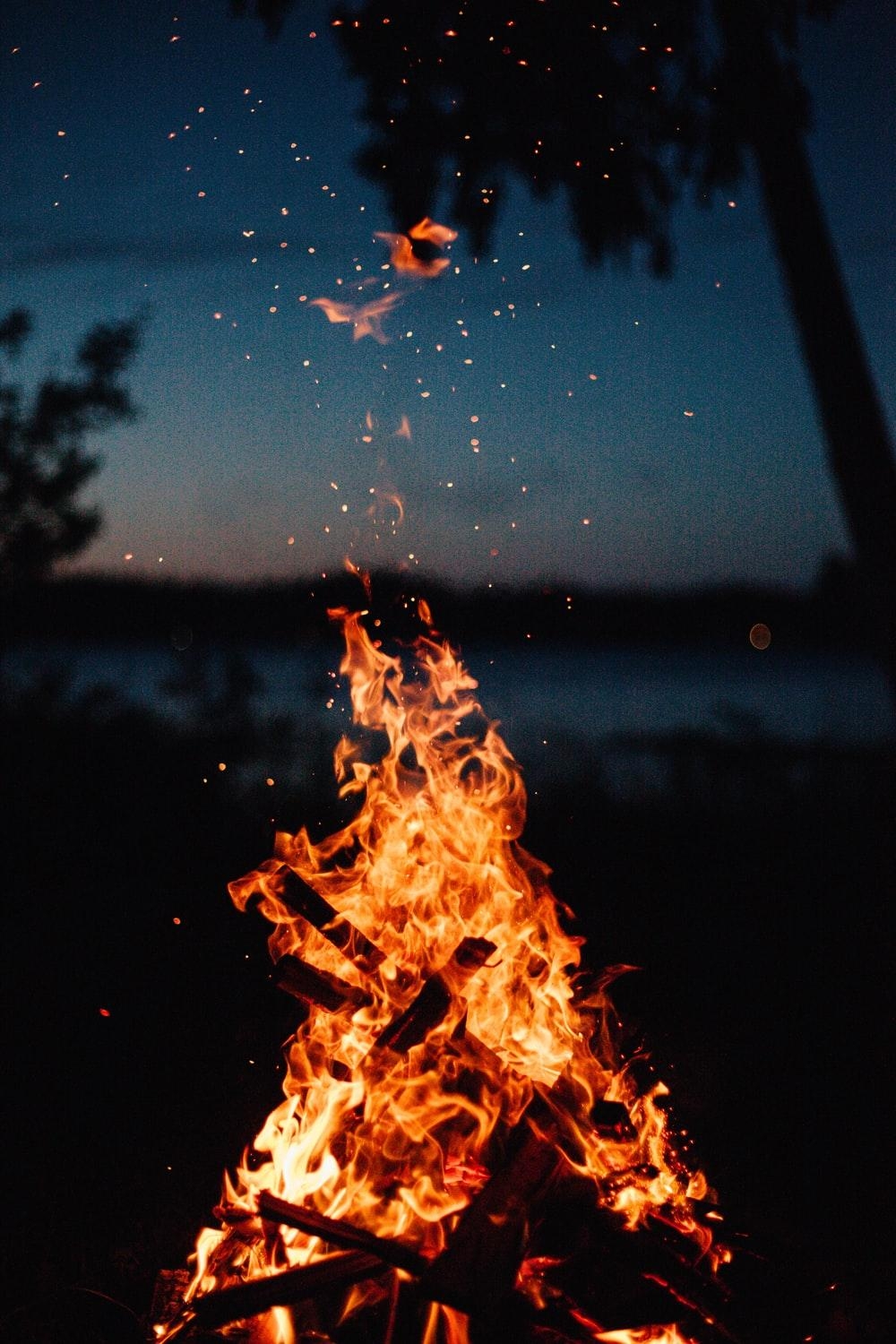 1000x1500 Best Campfire Picture [HD]. Download Free Image, Phone