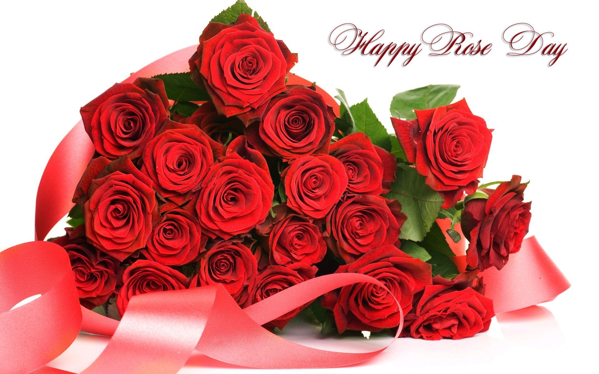 1920x1200 Rose Day Image, GIF, HD Wallpaper, Pics, Photo for Whatsapp DP, Desktop