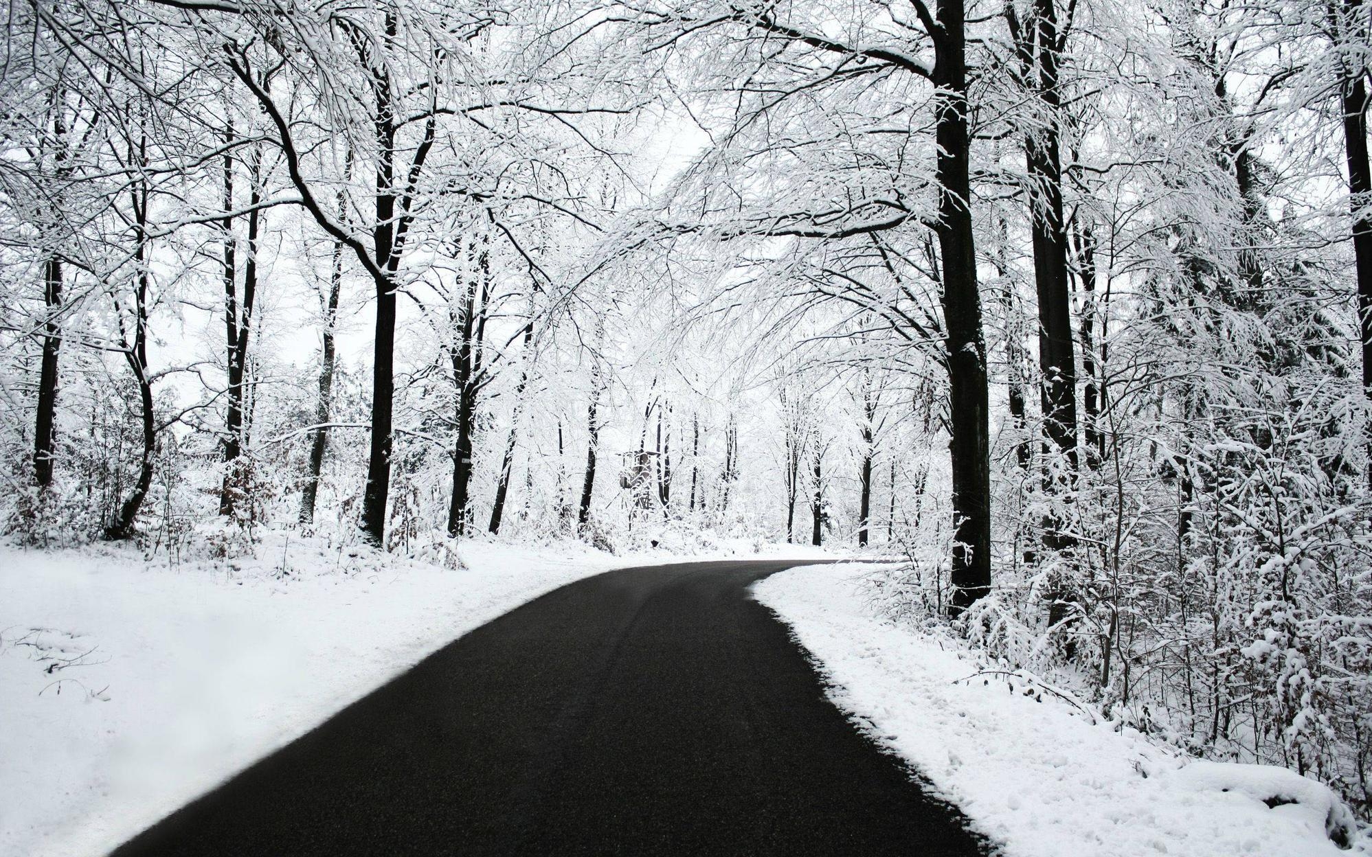 2000x1250 A Drive Through Winter Woods X Post From R Winterporn, Desktop