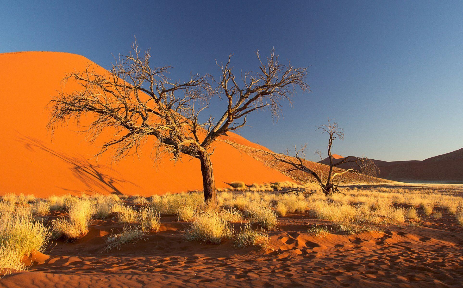 1930x1200 namibia africa namib desert sky dune sand tree bush HD wallpaper, Desktop