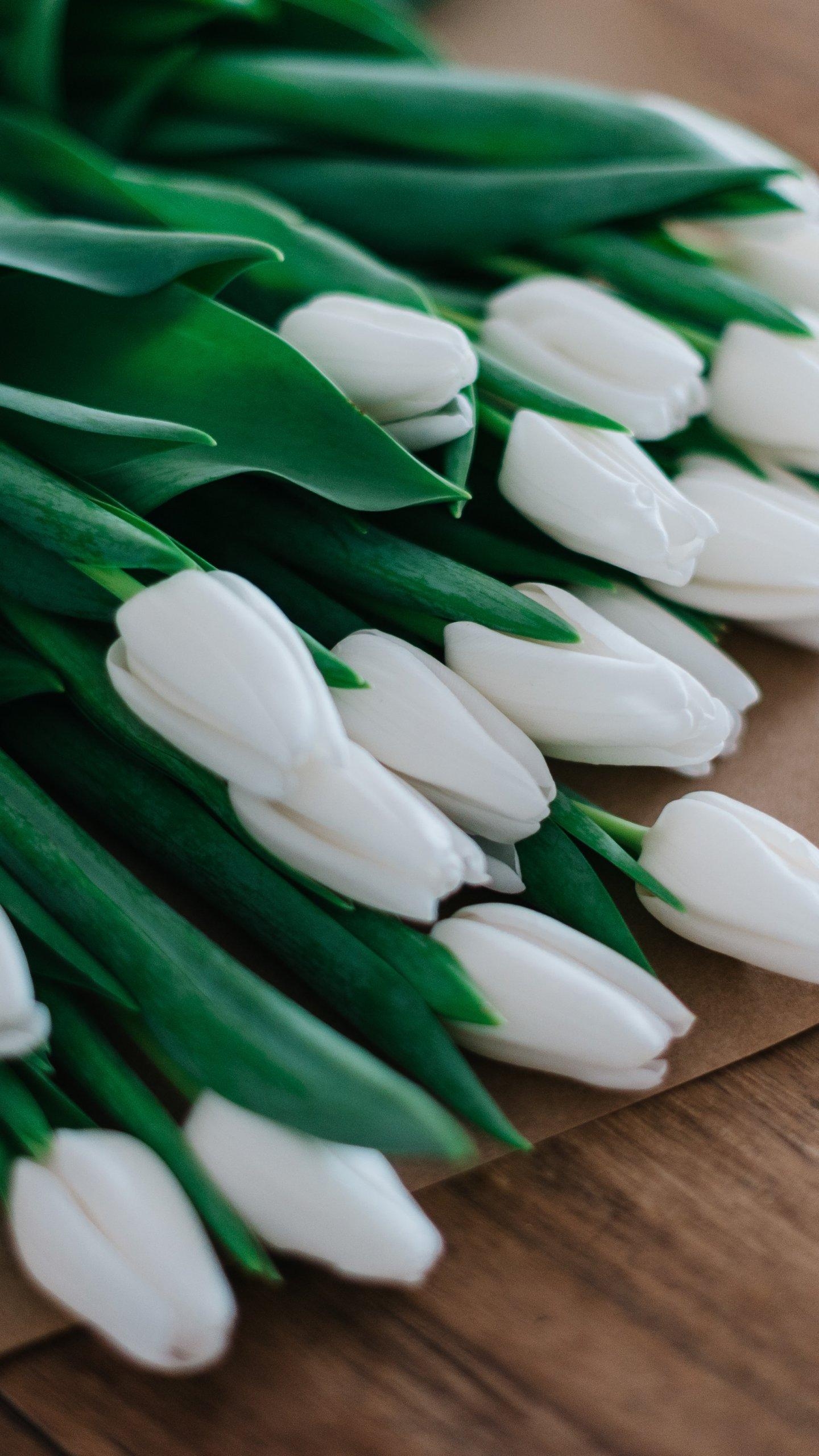 1440x2560 White Tulips Wallpaper, Phone