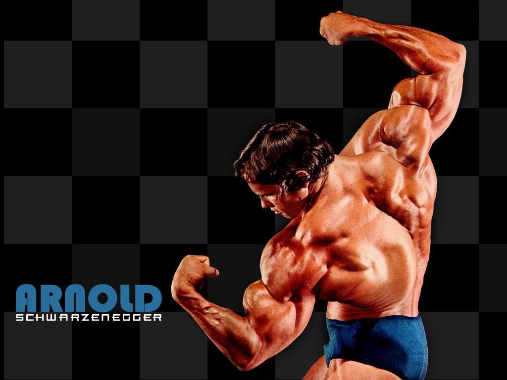 1030x770 Sports Stars Celebrity: Arnold Schwarzenegger Body Builder Celebrity, Desktop