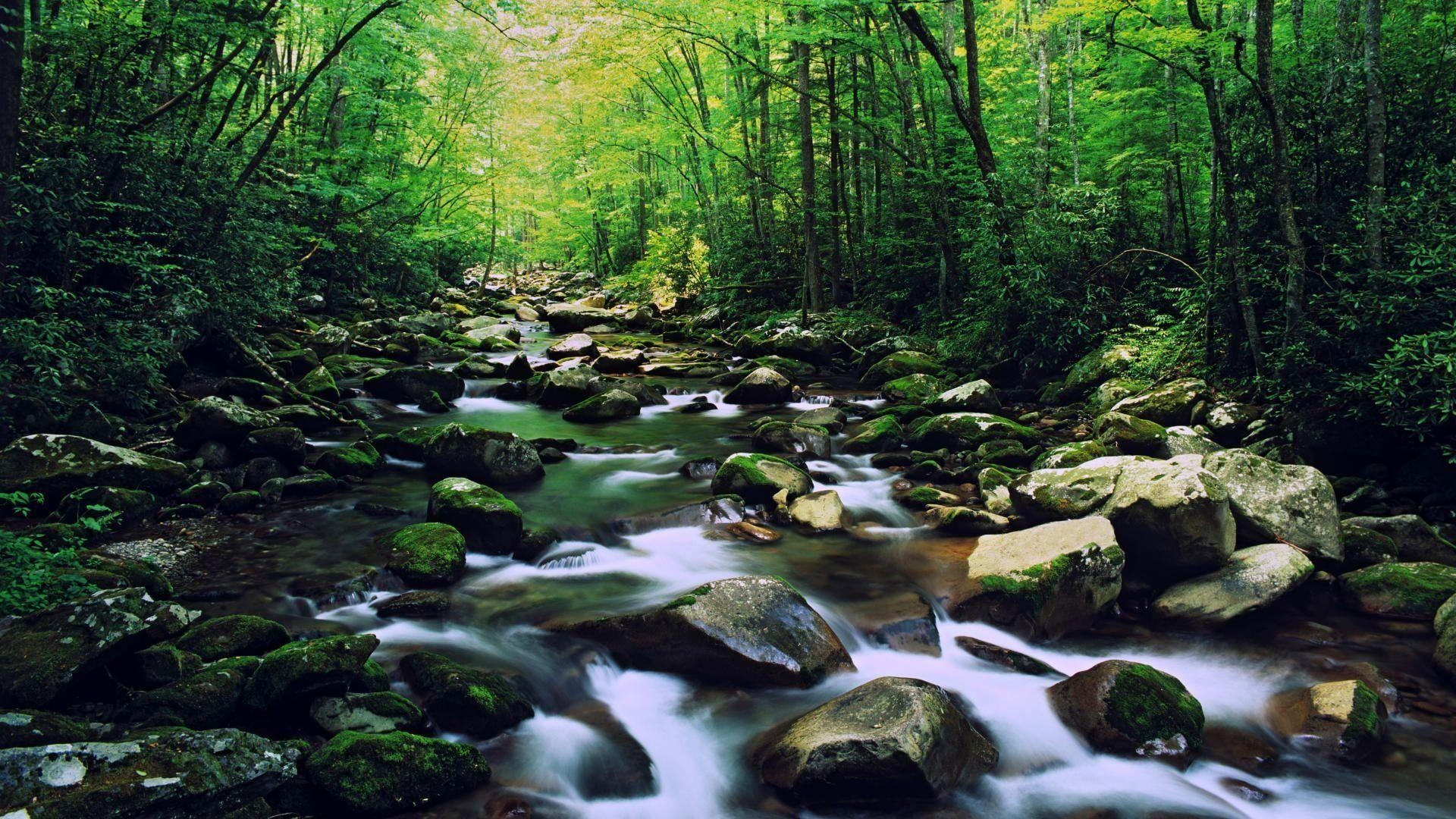 1920x1080 Rocky Forest Creek Great Smoky Mountains National Park, Desktop