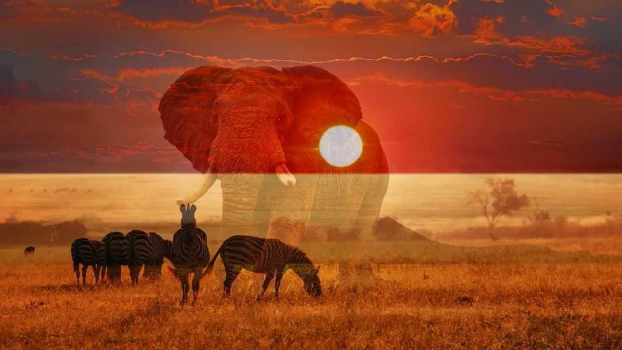 1280x720 Africa By Toto With Lyrics, Desktop