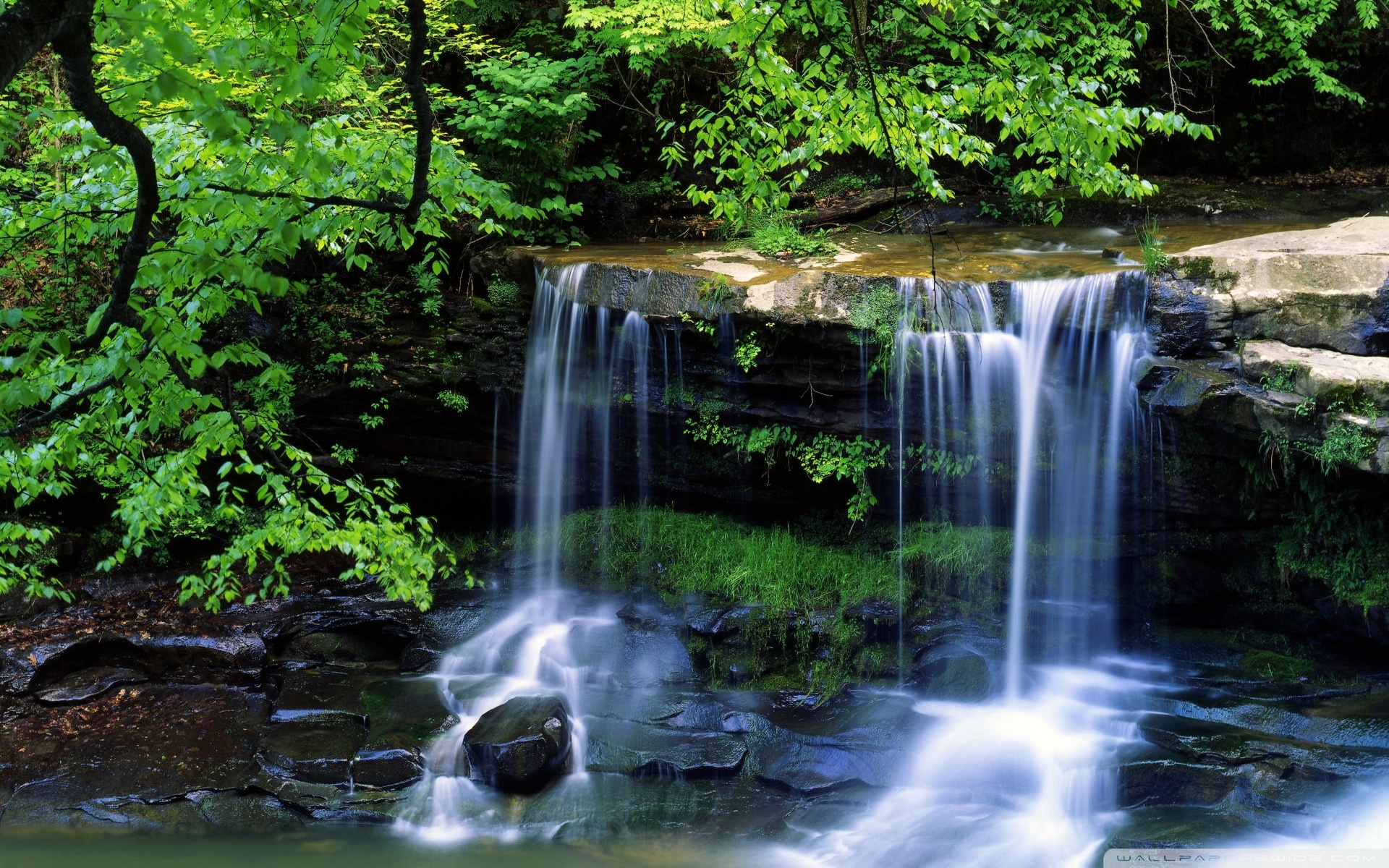 1920x1200 New River Gorge National River, West Virginia ❤ 4K HD Desktop, Desktop