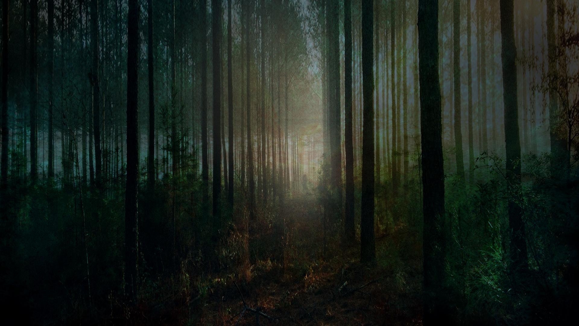 1920x1080 Spooky Forest Wallpaper, Desktop