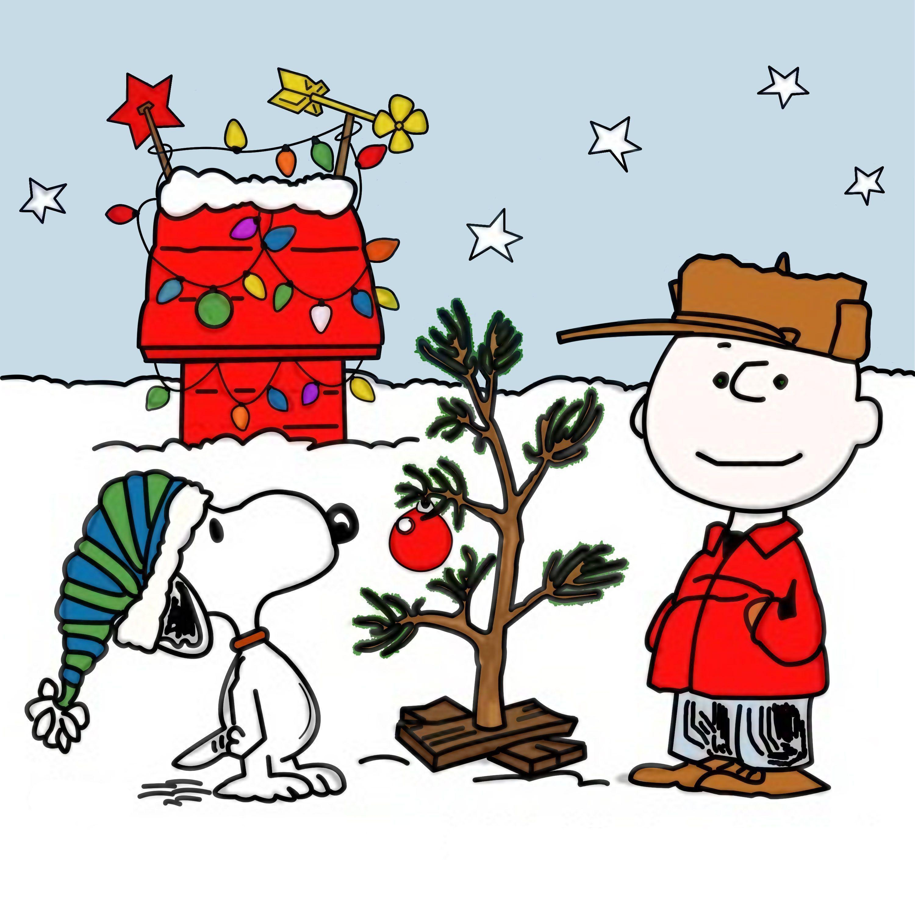 3000x3000 CHARLIE BROWN peanuts comics snoopy christmas ry wallpaper, Phone