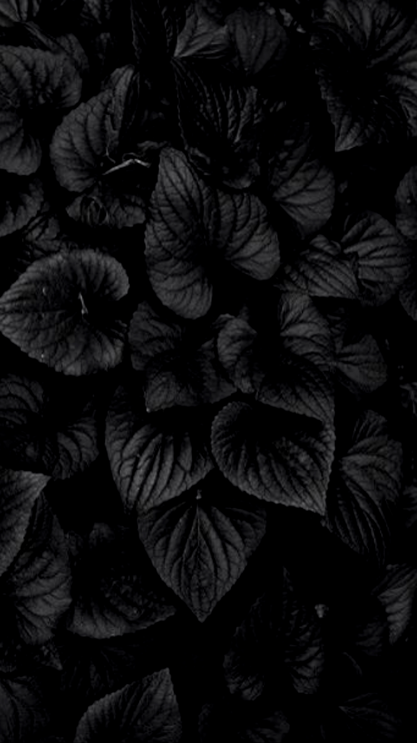 1440x2560 Hd All Black Wallpaper, Phone