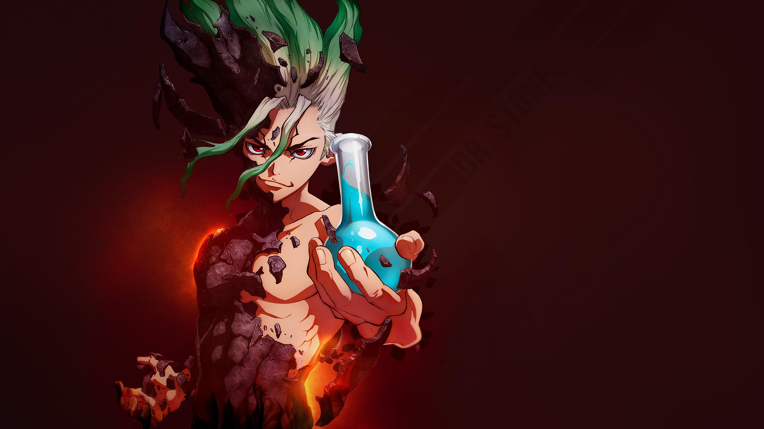 2560x1440 1080x2160px. free download. HD wallpaper: Dr. Stone, anime, Desktop