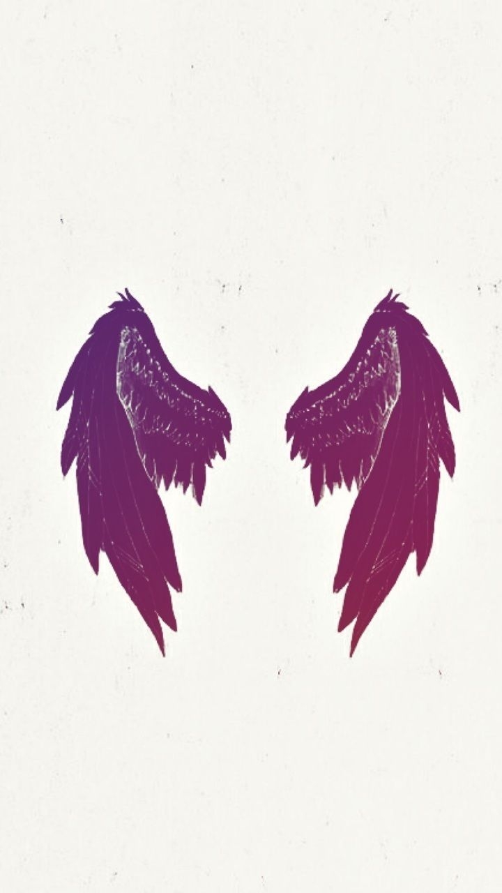 720x1280 Wings wallpaper discovered, Phone