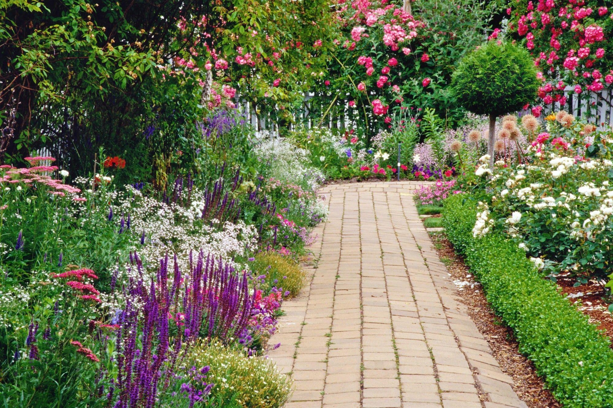 2000x1340 Flower: Lovely Summer Garden Flowers Delaware Picture for HD 16:9, Desktop