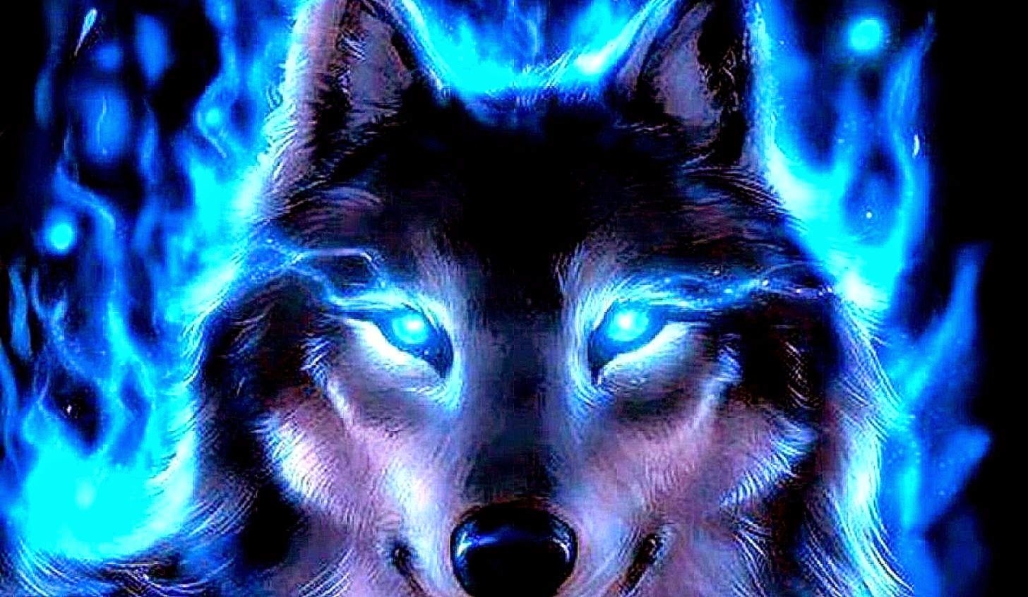 1460x850 Free download Blue Wolf Best HD Wallpaper Quality, Desktop