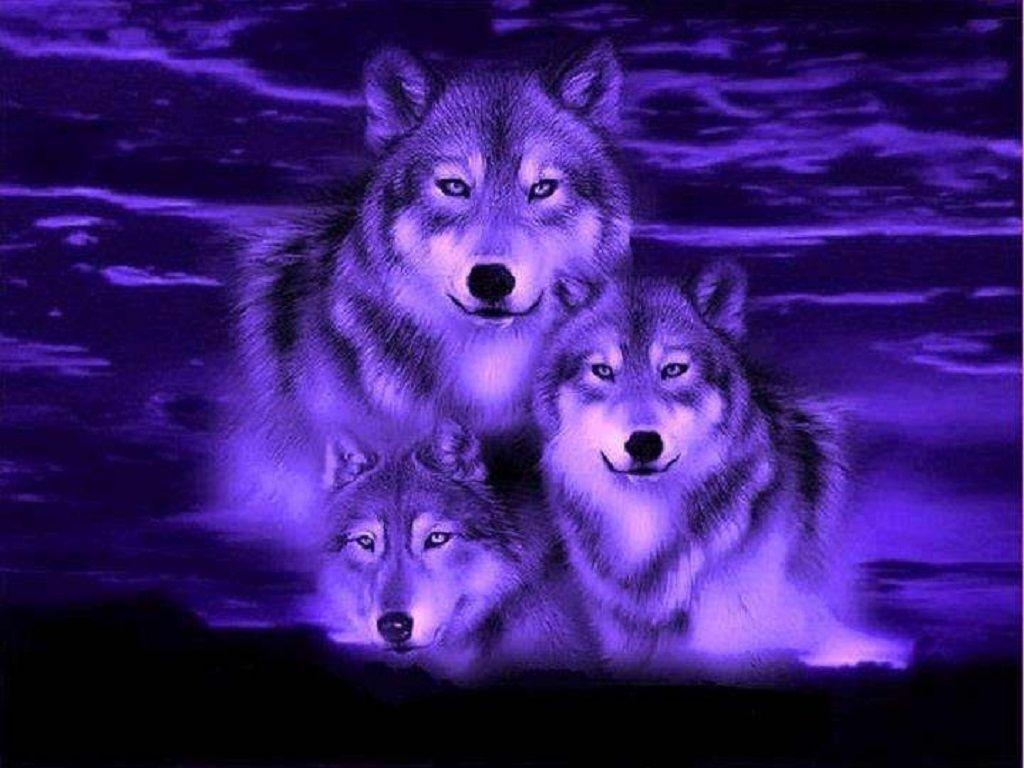 1030x770 wolf fantasy pics. Blue Wolf Fantasy Wallpaper HD Wallpaper, Desktop