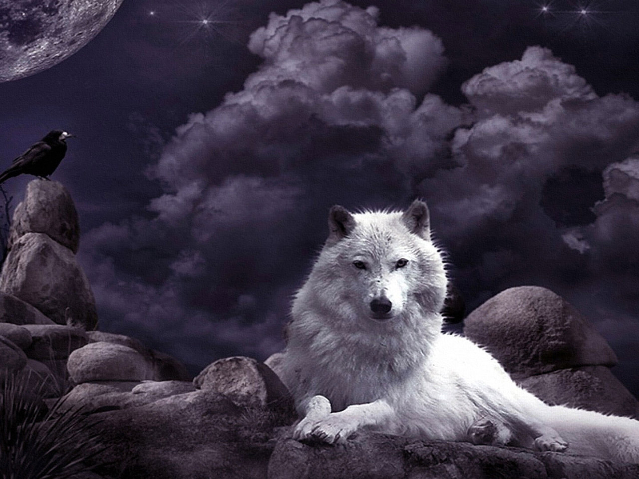 1280x960 Wolf Wallpaper, Night Sky, Crow, Moon, Fantasy Art, White Wolf, Mystic • Wallpaper For You, Desktop