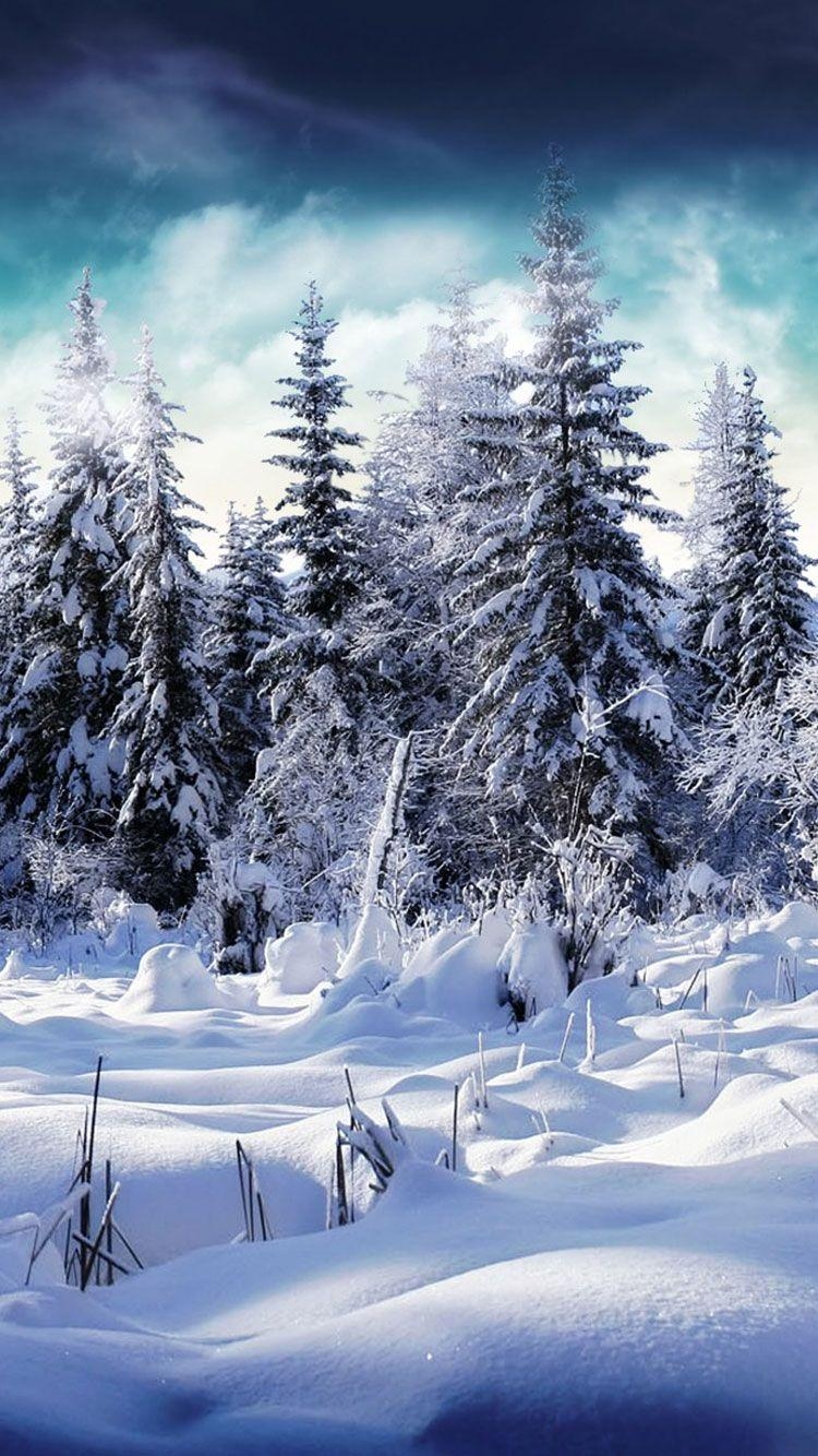 750x1340 Winter iPhone Wallpaper Free Winter iPhone Background, Phone