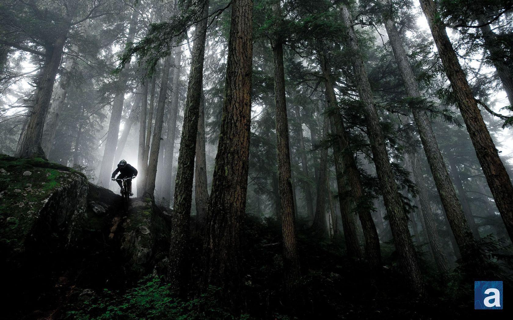 1680x1050 Wallpaper Wednesday: Mountain Biking Whistler, B.C. adventure, Desktop