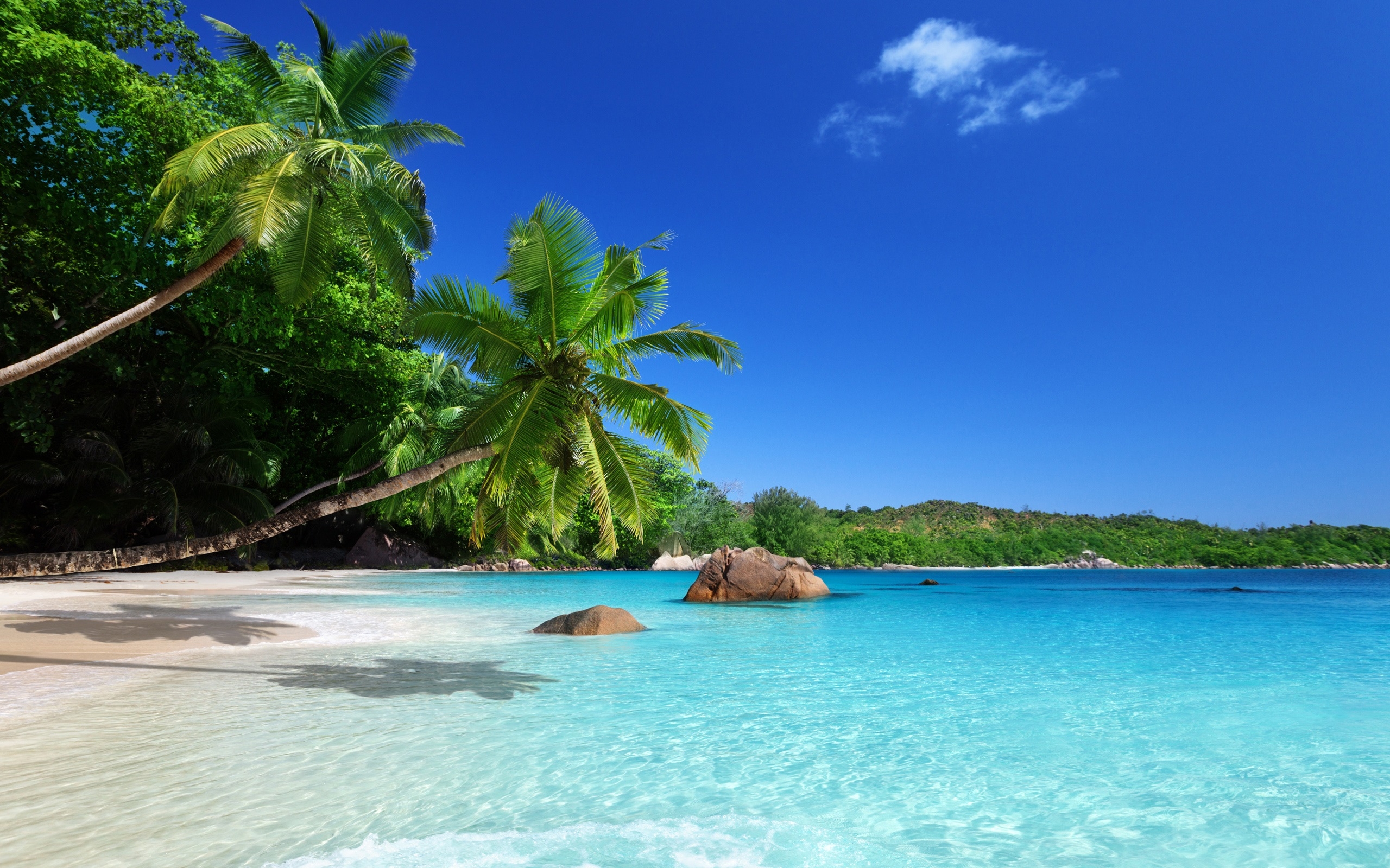 2560x1600 Wallpaper Tropical paradise, sunshine, beach, coast, sea, palm trees, Desktop