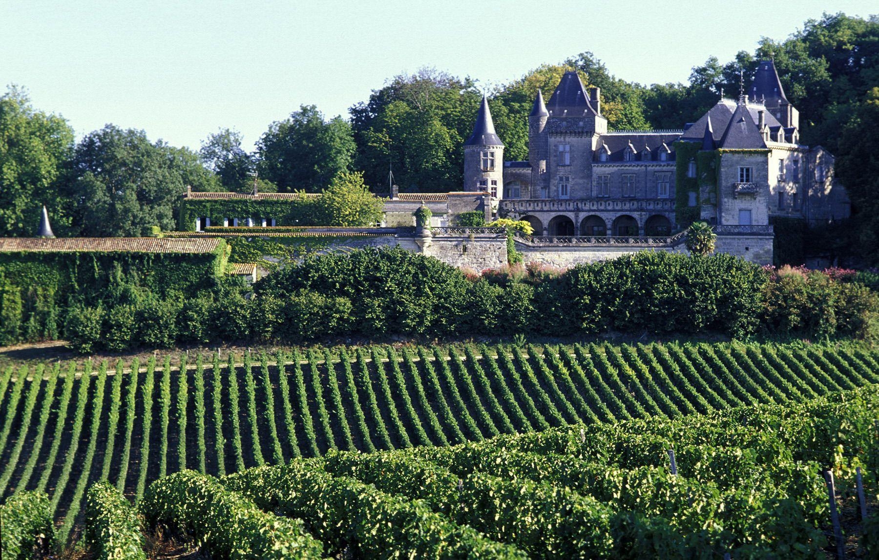 1800x1150 Vineyards in Bordeaux, France wallpaper and image, Desktop