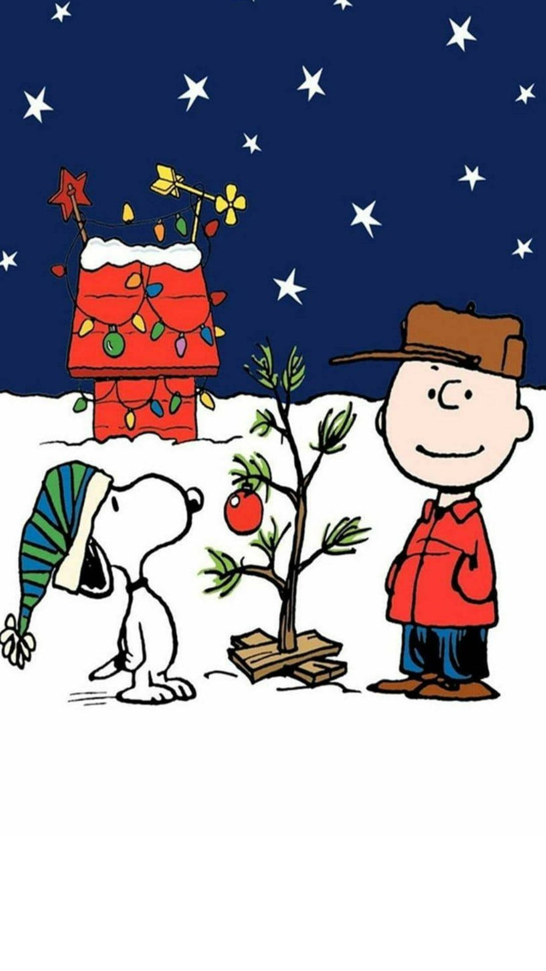 1080x1920 Download free Snoopy Christmas Evening, Phone