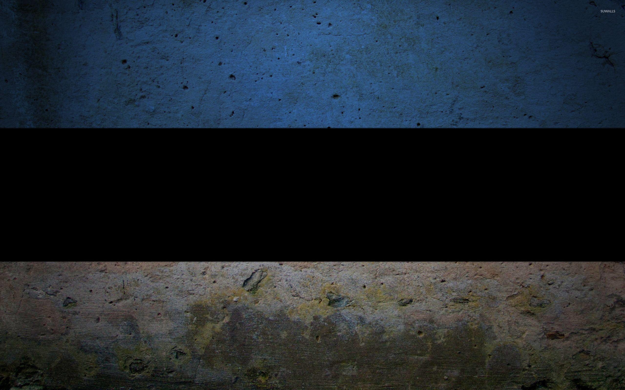 2560x1600 Flag of Estonia wallpaper Art wallpaper, Desktop