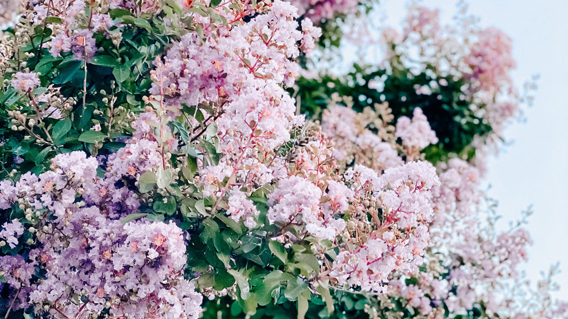 1920x1080 Spring Tech Background, Desktop