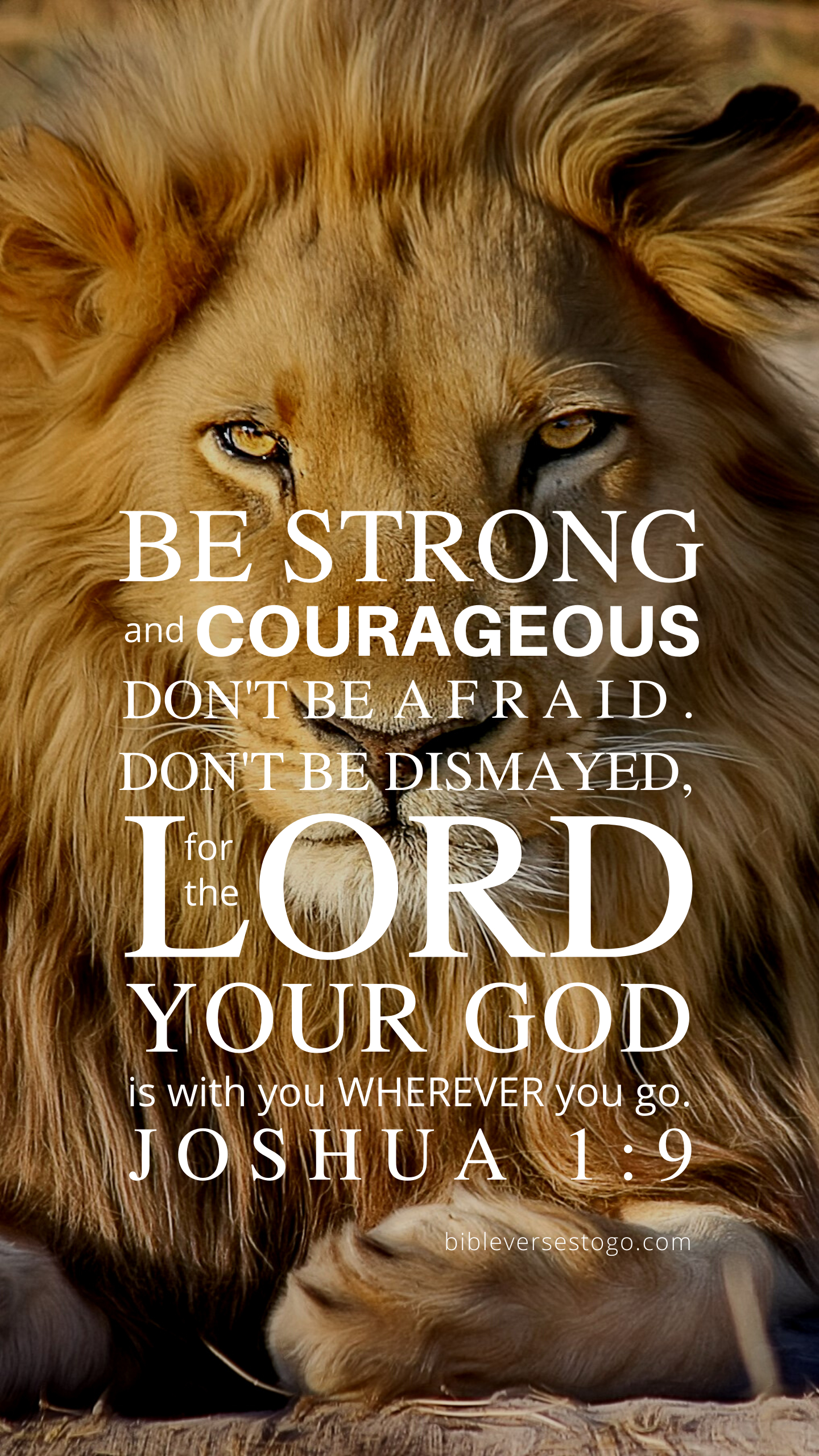 1440x2560 Lion Motivation Bible Wallpaper Free Lion Motivation Bible Background, Phone