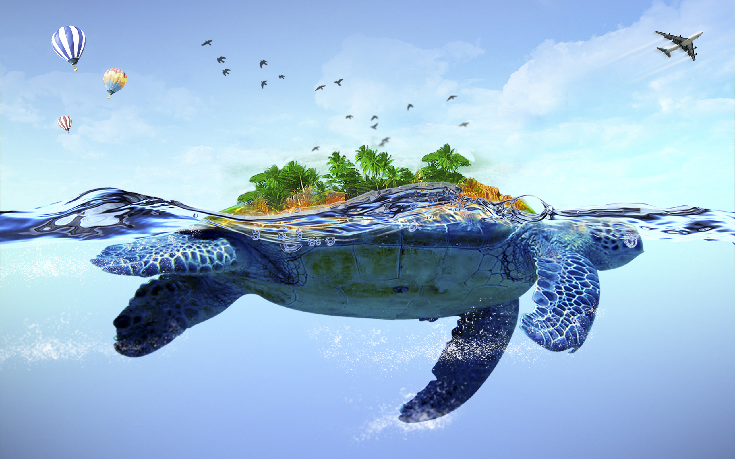 2560x1600 Free Turtle Background Download, Desktop