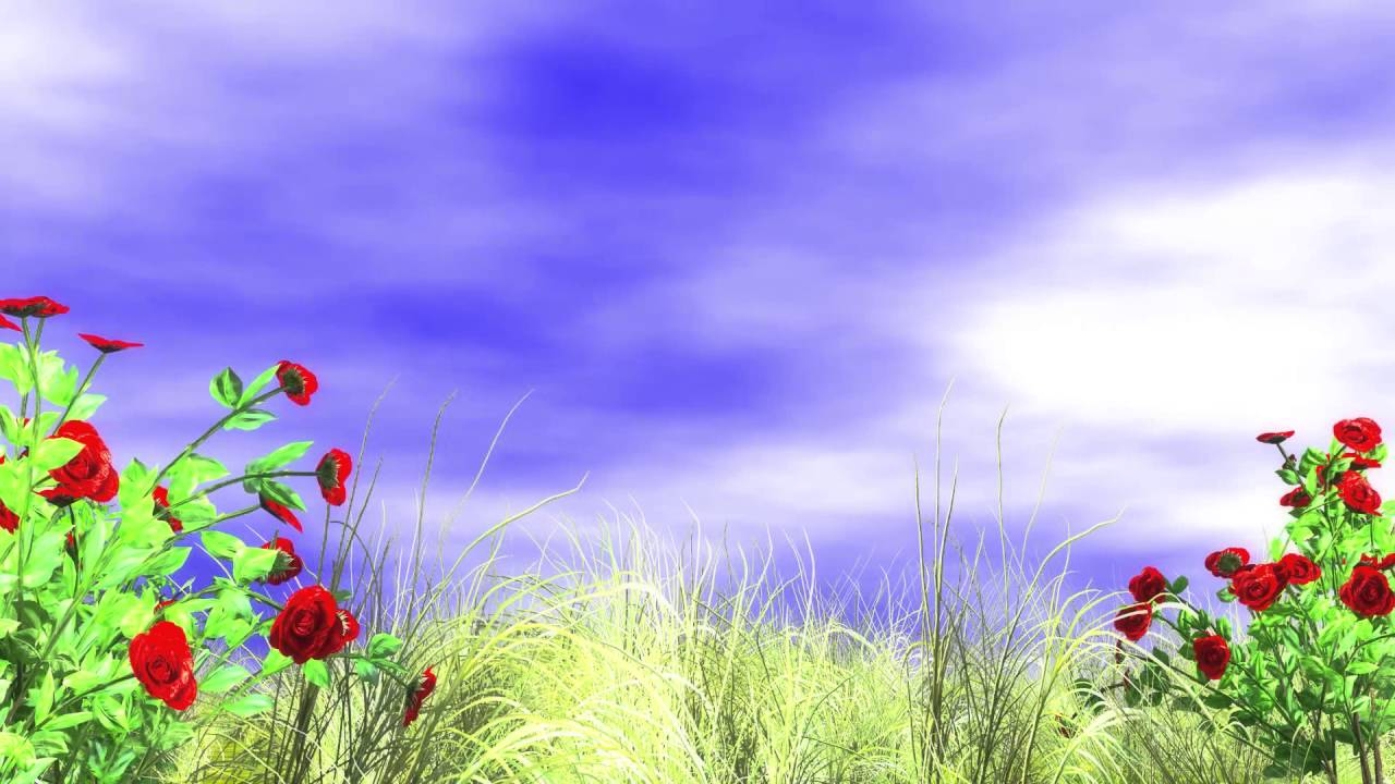 1280x720 Photo Background Image Free Download, Best Background, Desktop