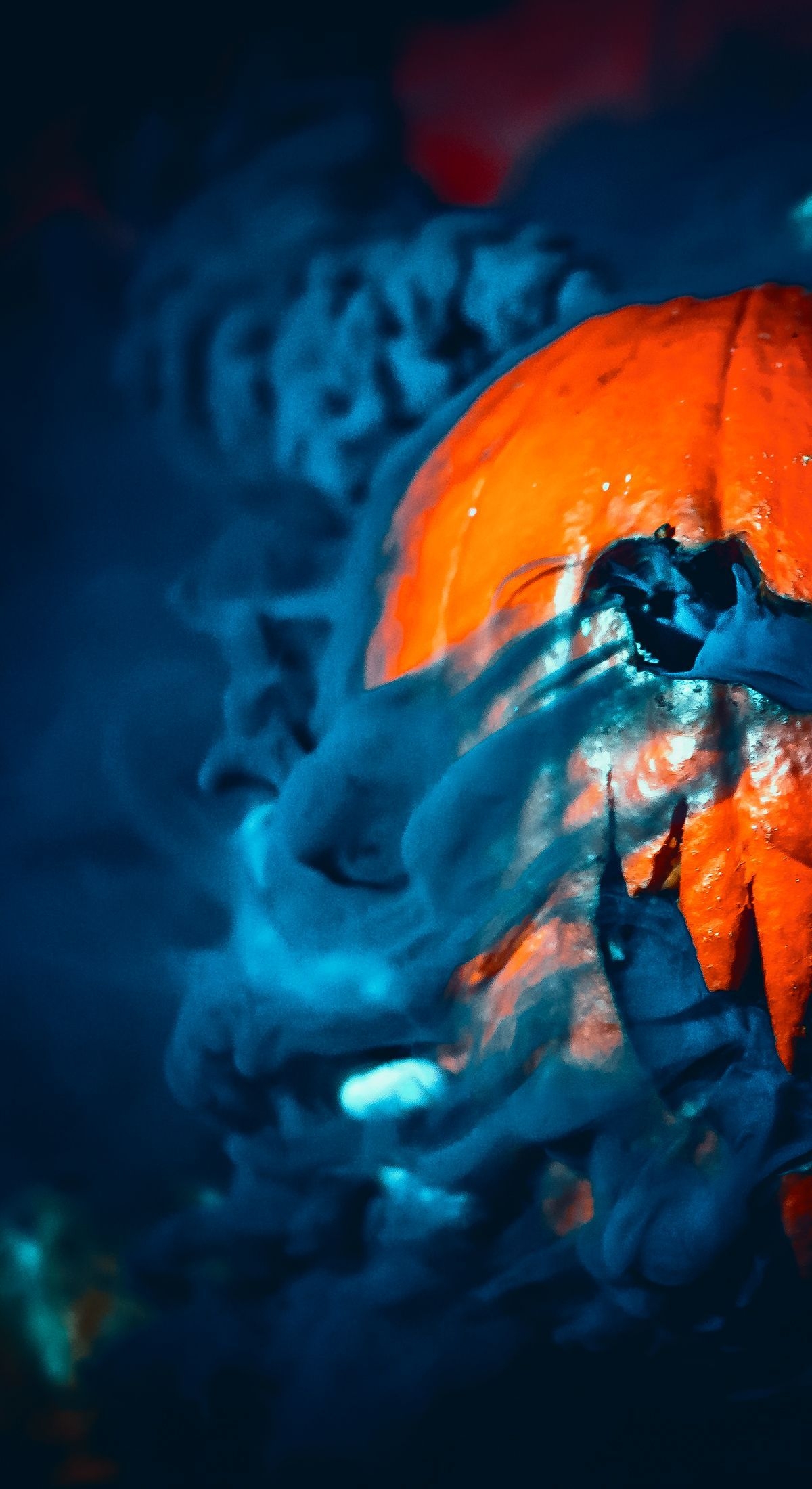 1200x2200 halloween wallpaper. Halloween wallpaper iphone, iPhone 8 wallpaper hd, Halloween wallpaper, Phone