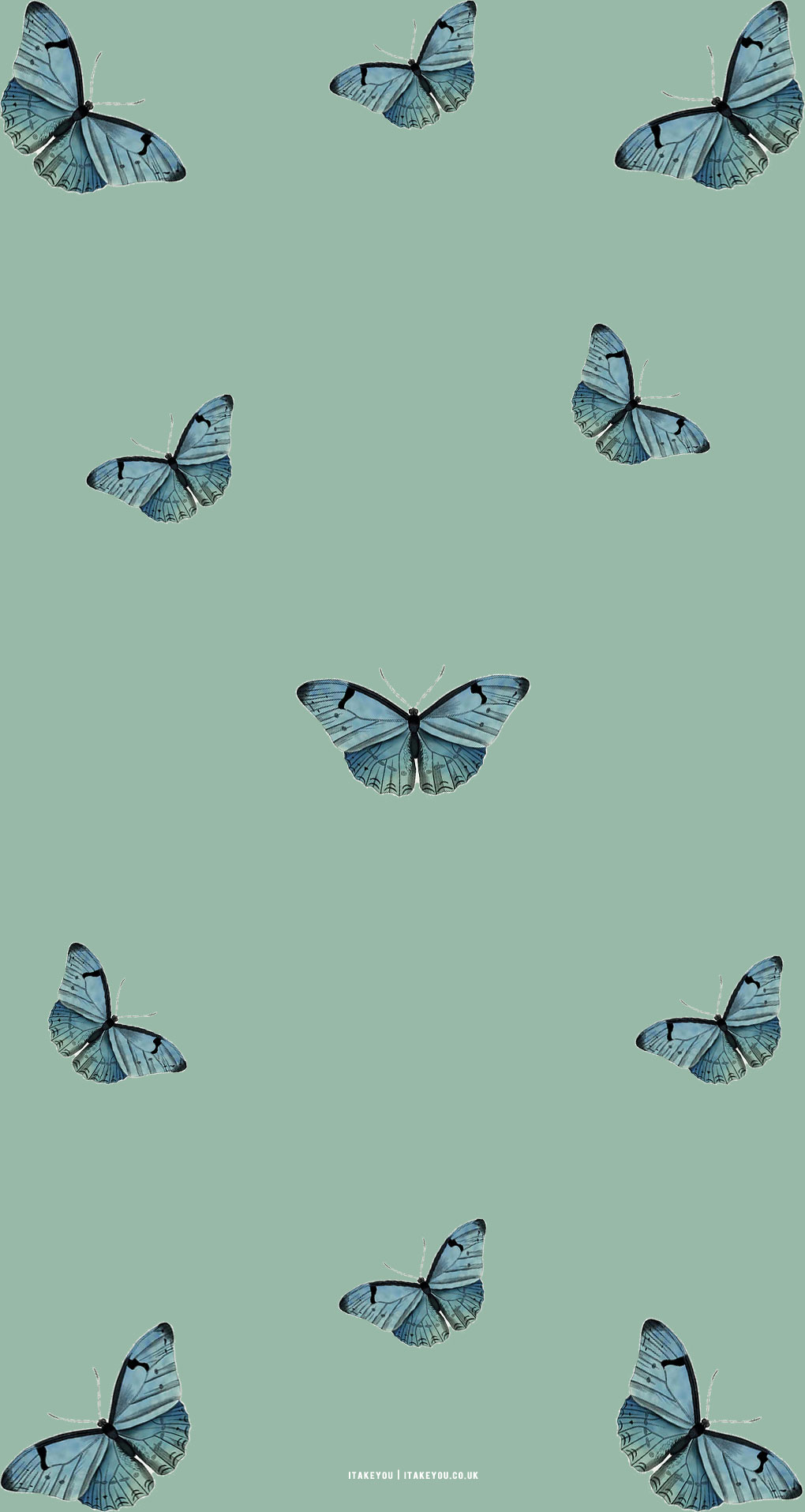 1020x1920 Sage Green Minimalist Wallpaper, Phone