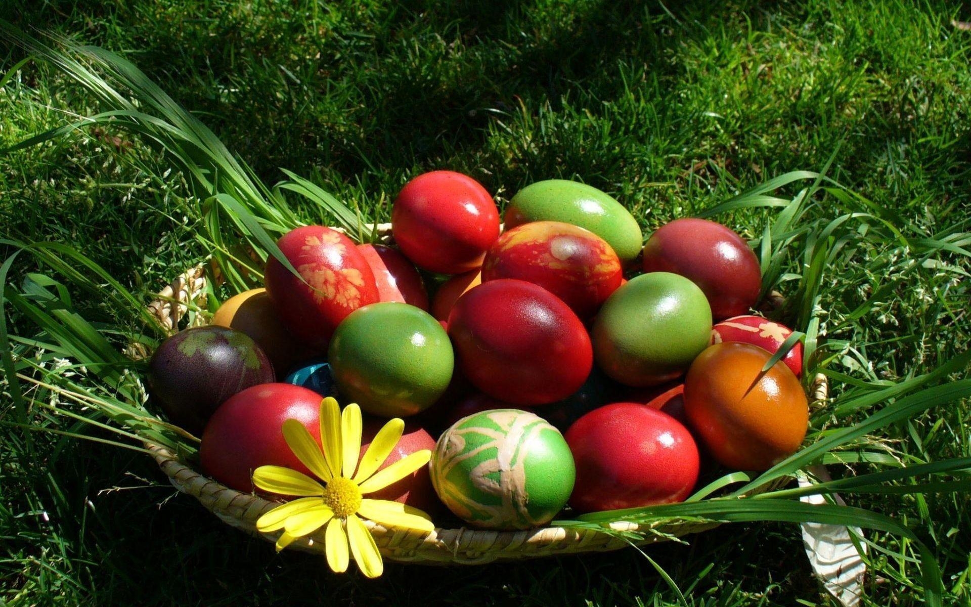 1920x1200 Colourful Nature wallpaper, Desktop
