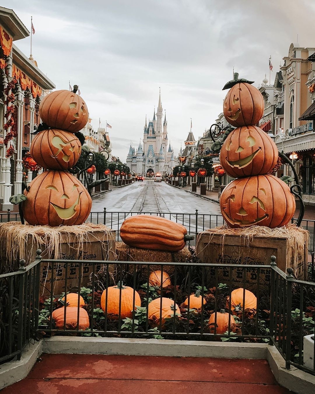 1080x1350 All The Halloween Autumn Feels, Phone