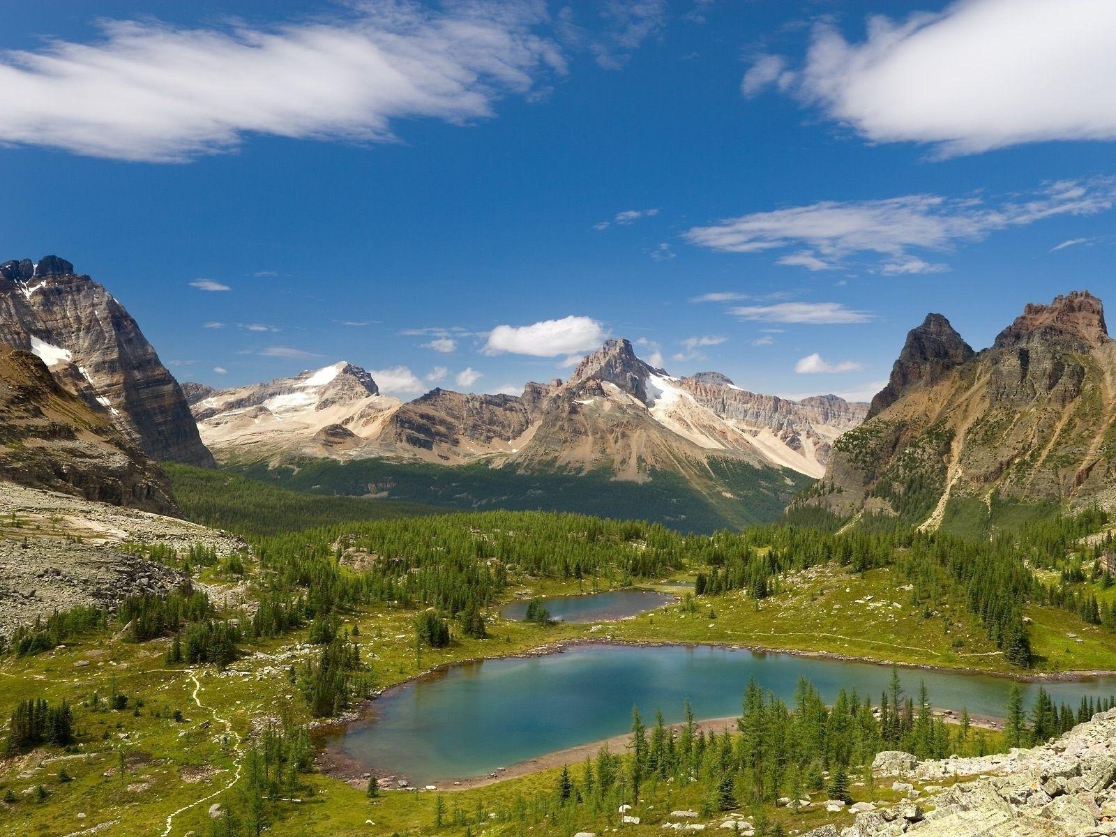 1600x1200 Cliff lake, Idaho, Mountains, Flowers, Trees wallpaper and background, Desktop
