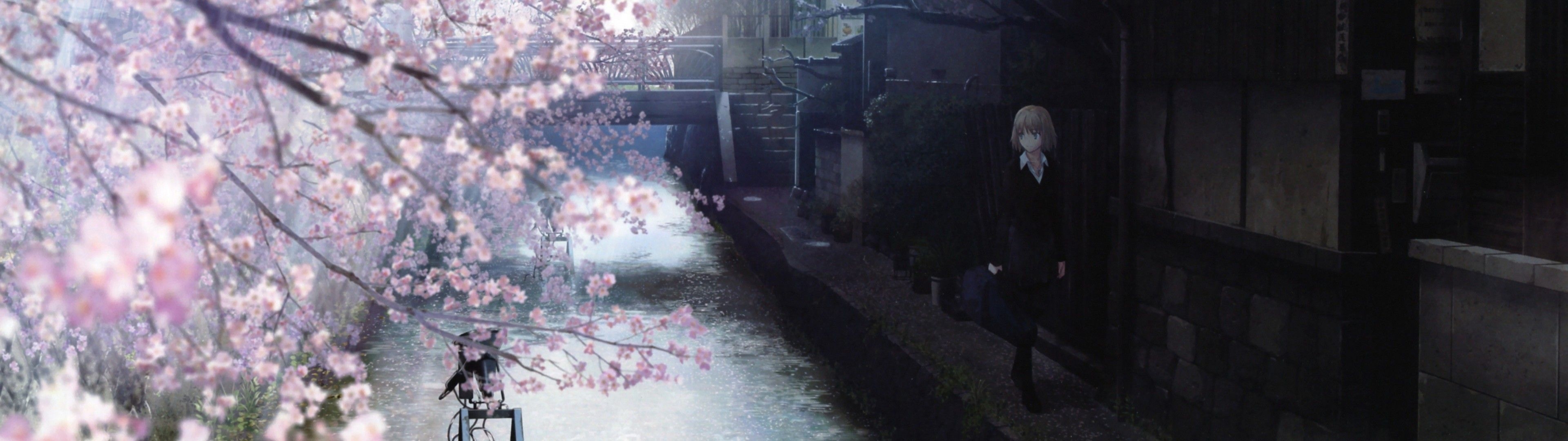 3840x1080 Download  Anime Girl, Stream, Cherry Blossom, Buildings, Scenic Wallpaper, Dual Screen