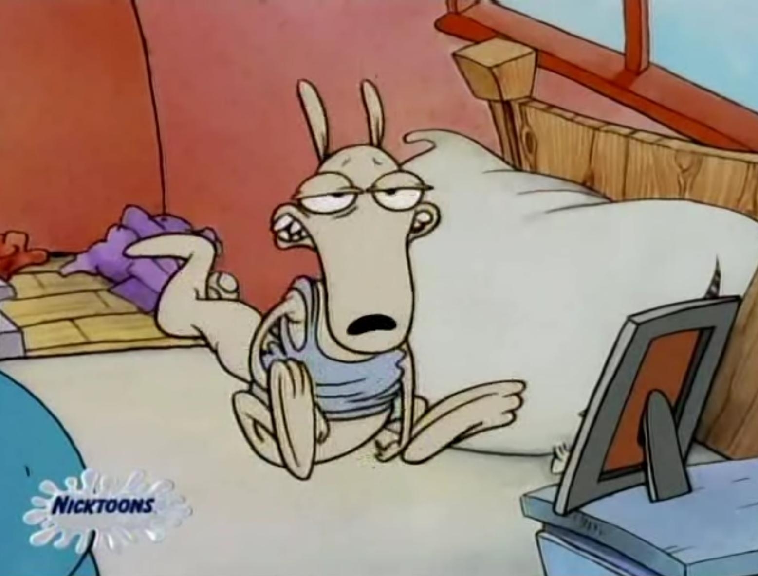 1560x1190 Rocko's Modern Life image Rocko stuff! HD wallpaper and background, Desktop