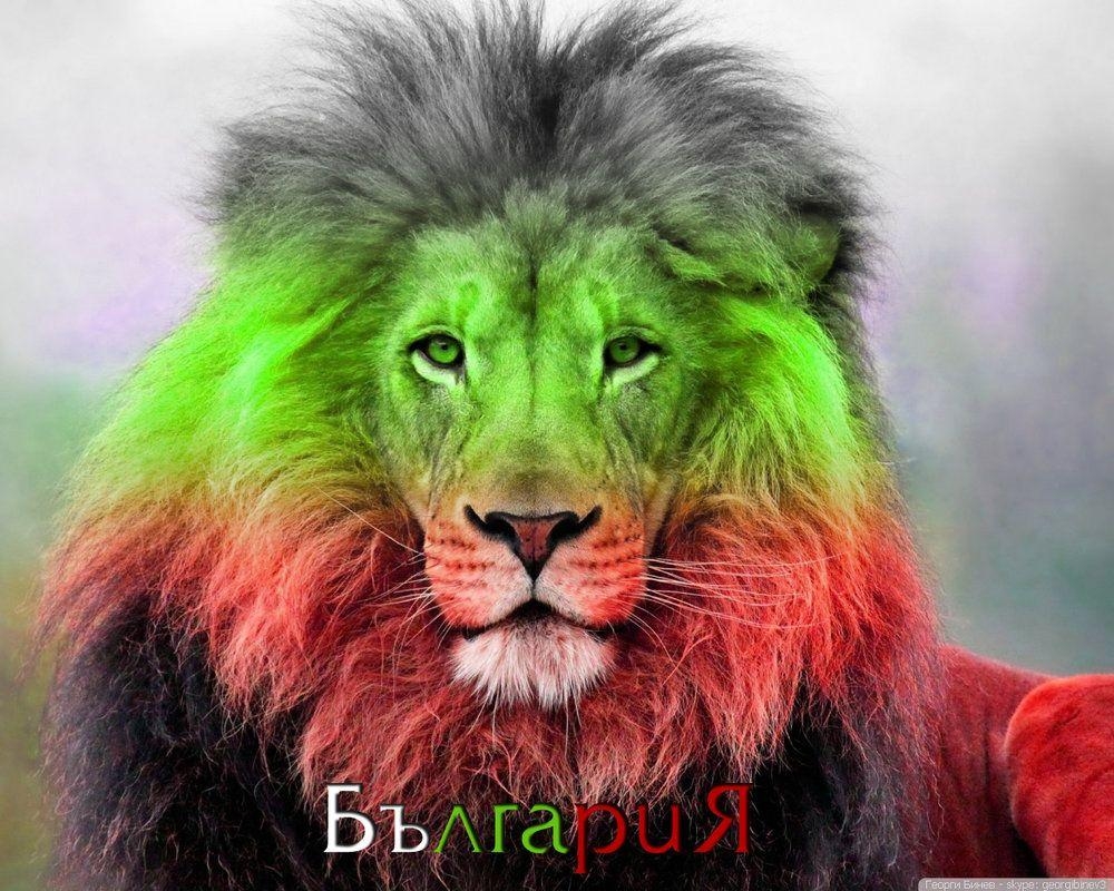 1000x800 Bulgarian Lion 5 Wallpaper 1280x1024 By GBineV. Bulgaria, Desktop