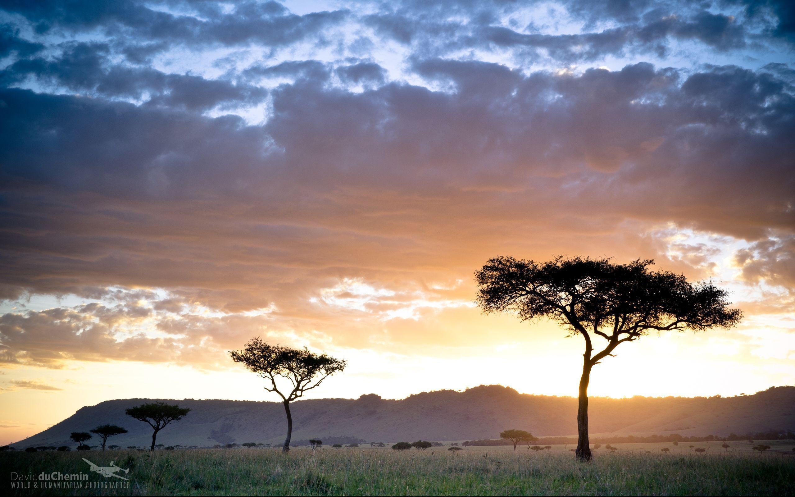 2560x1600 Postcard & Wallpaper from Kenya. David duChemin, Desktop