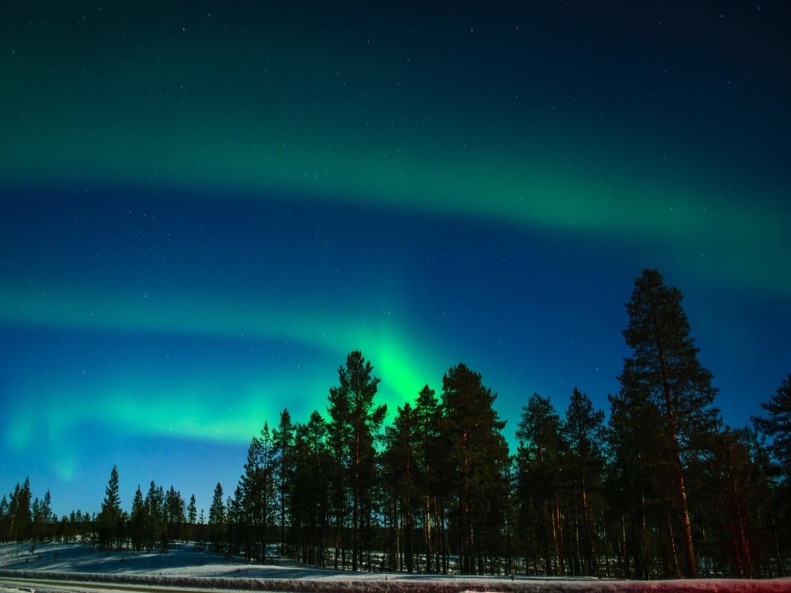 1160x870 Download wallpaper  northern lights, aurora, trees, light, Desktop