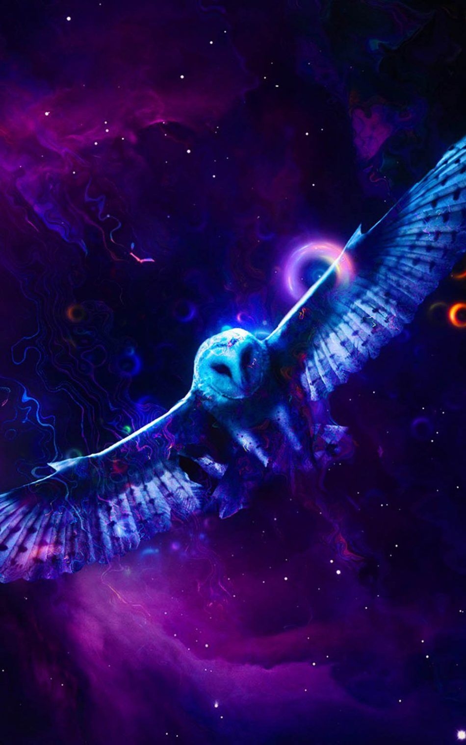 950x1520 Neon Owl HD Mobile Wallpaper Animal, Download Wallpaper, Phone