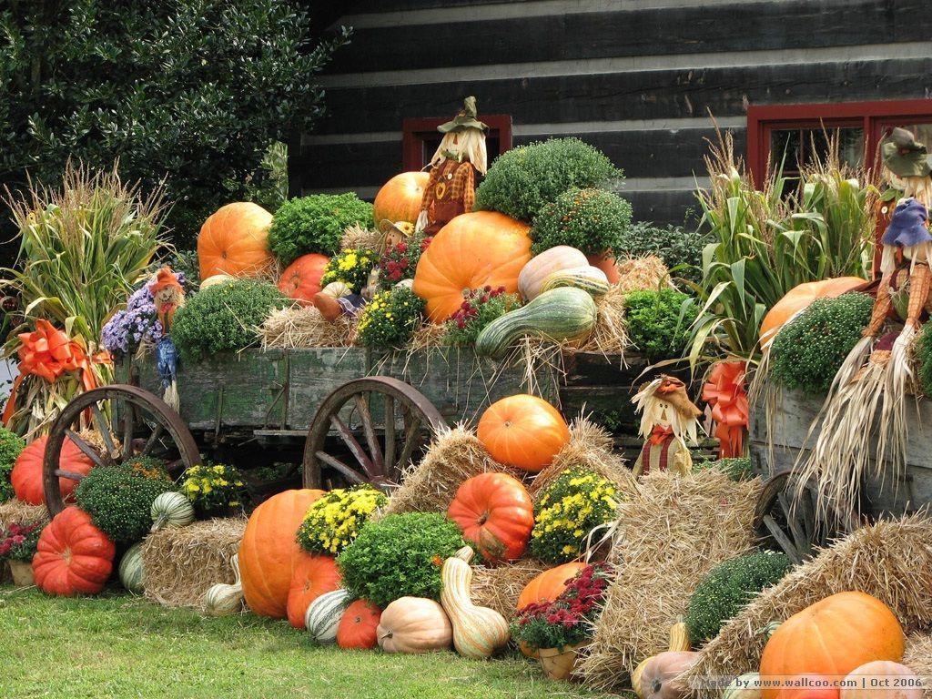 1030x770 Autumn Display, Scarecrow & Pumpkins Wallpaper.pumpkins, Desktop