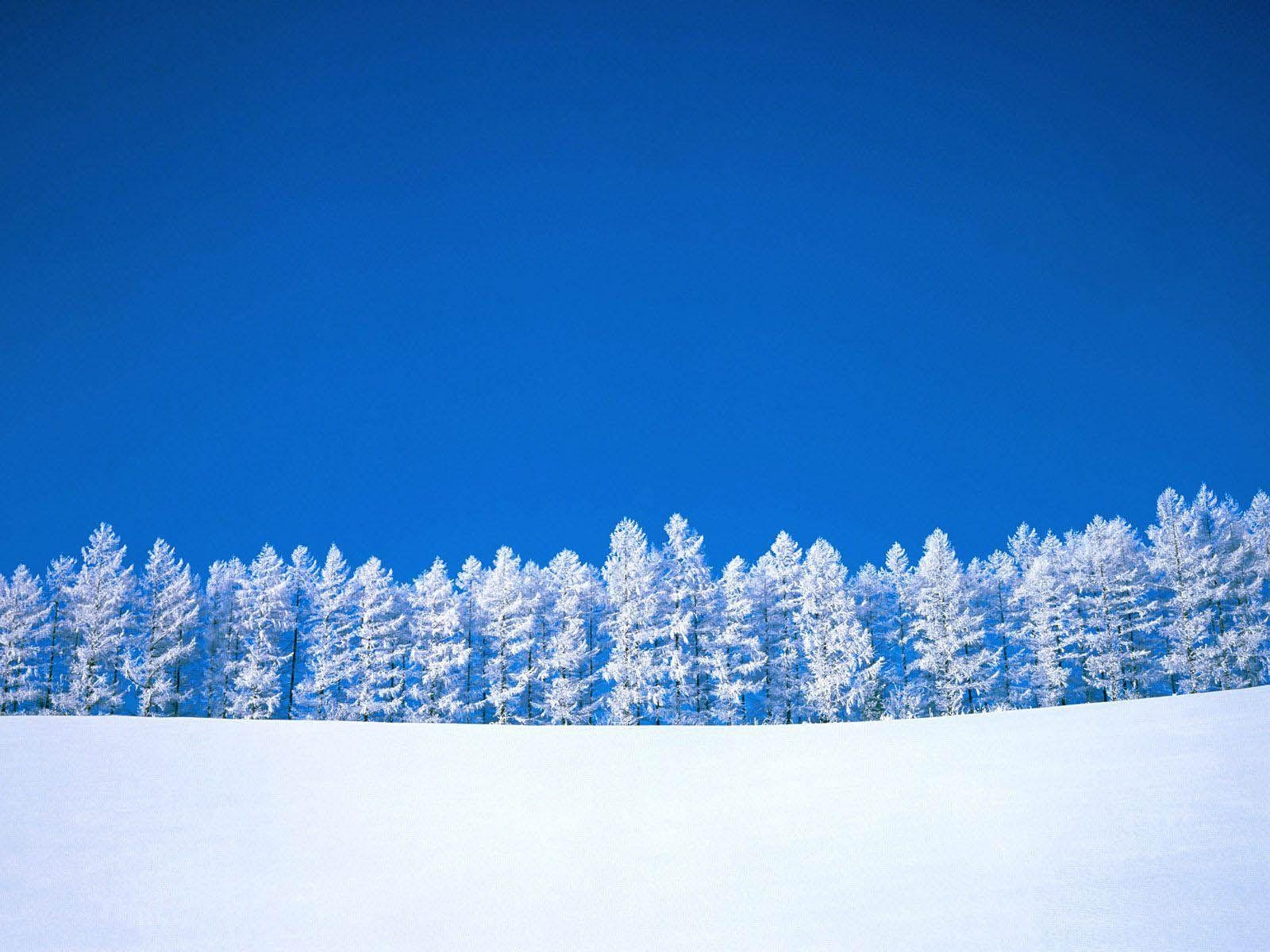 1600x1200 Snow Desktop Wallpaper and Background, Desktop