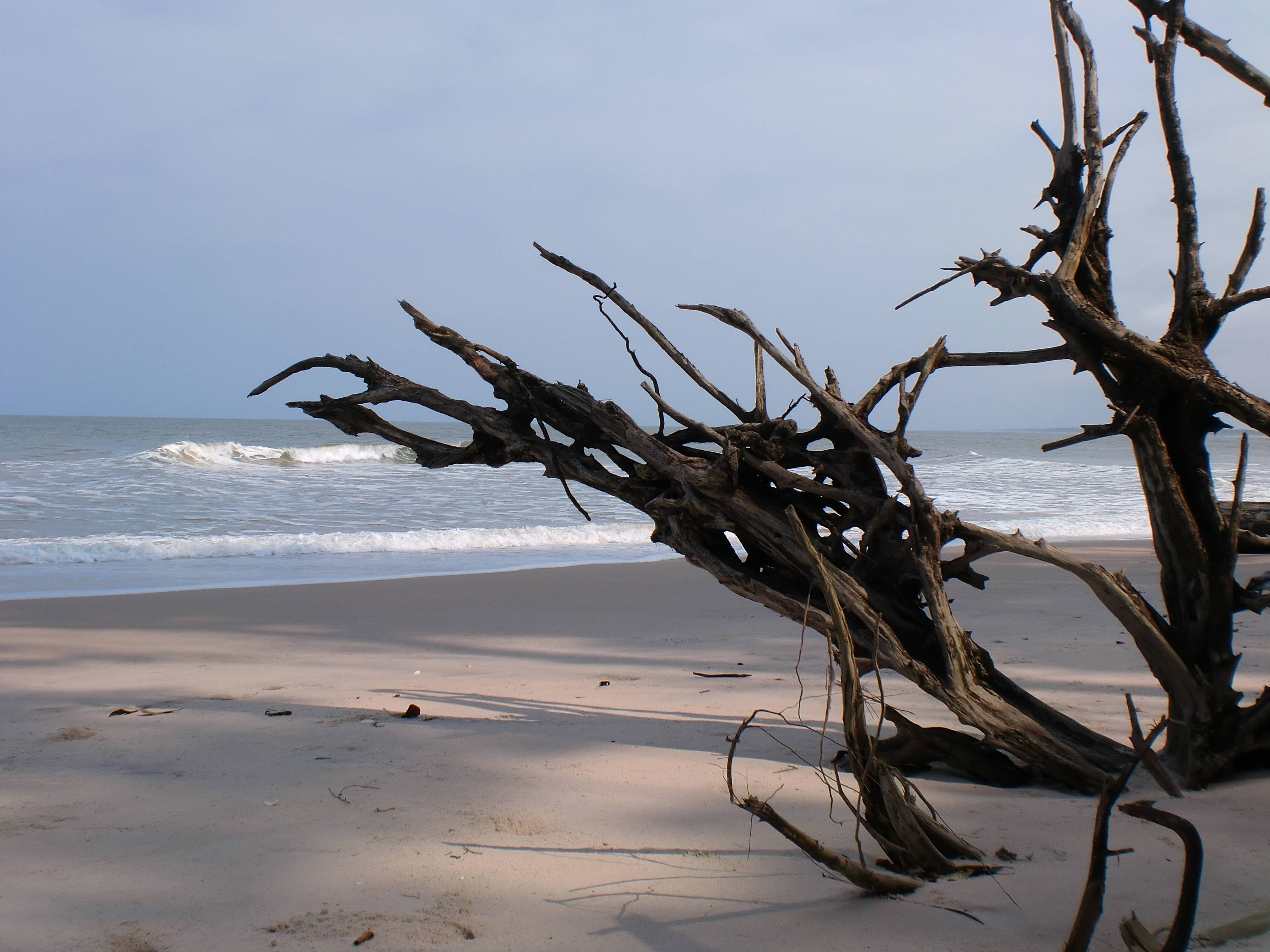 4000x3000 My own photo of the shores of Gabon, Africa. [], Desktop