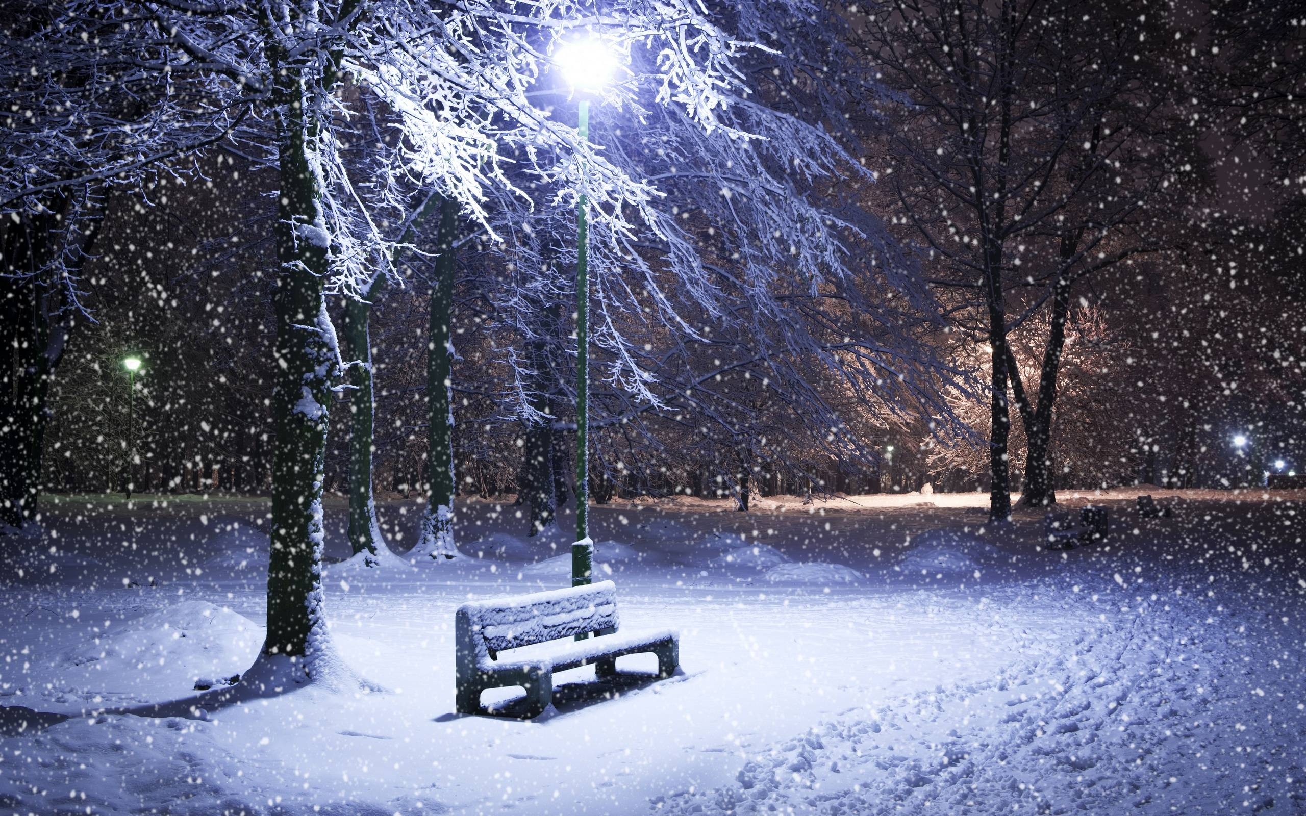 2560x1600 Winter Night Wallpaper 11410 Full HD Wallpaper Desktop, Desktop