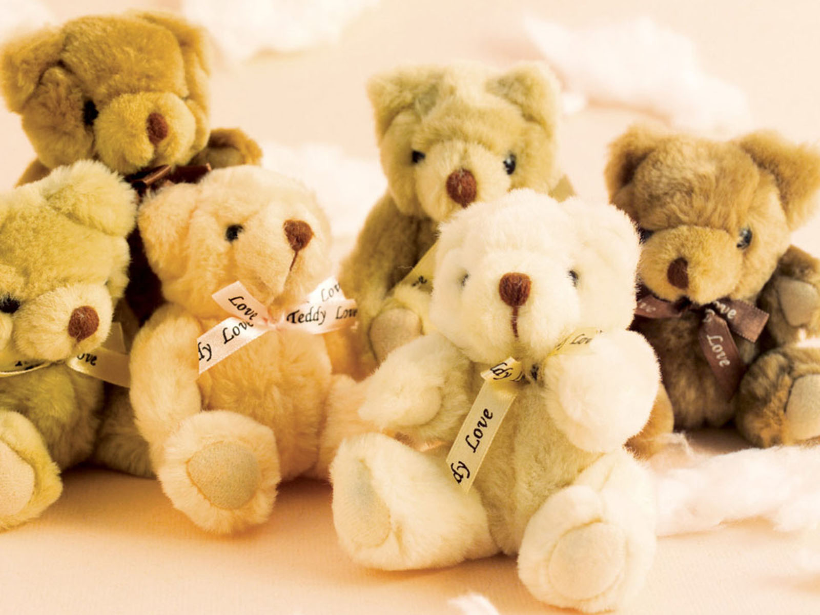 1600x1200 Teddy Bears Wallpaper, Desktop