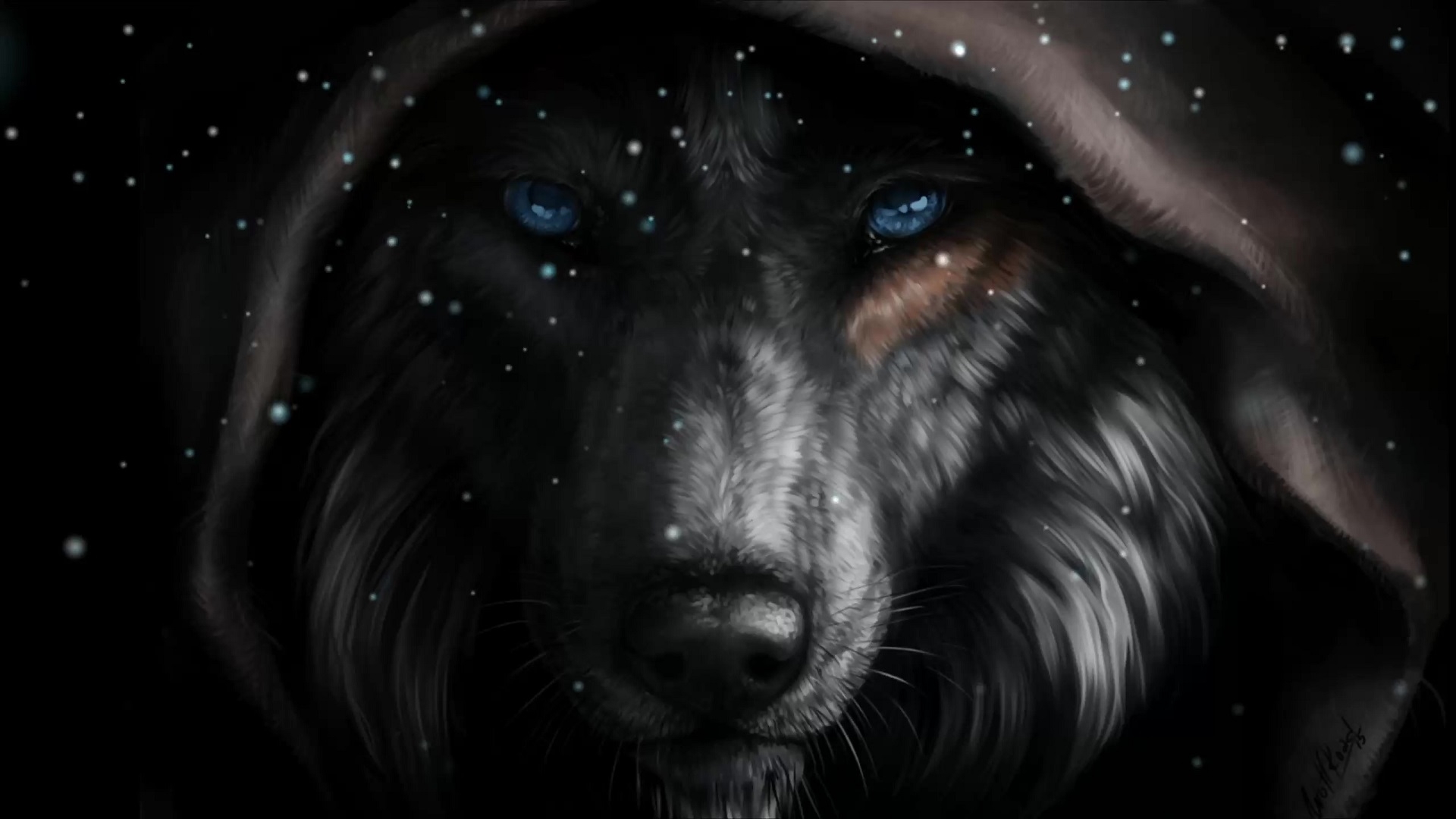 1920x1080 Black Wolf Face Live Wallpaper, Desktop