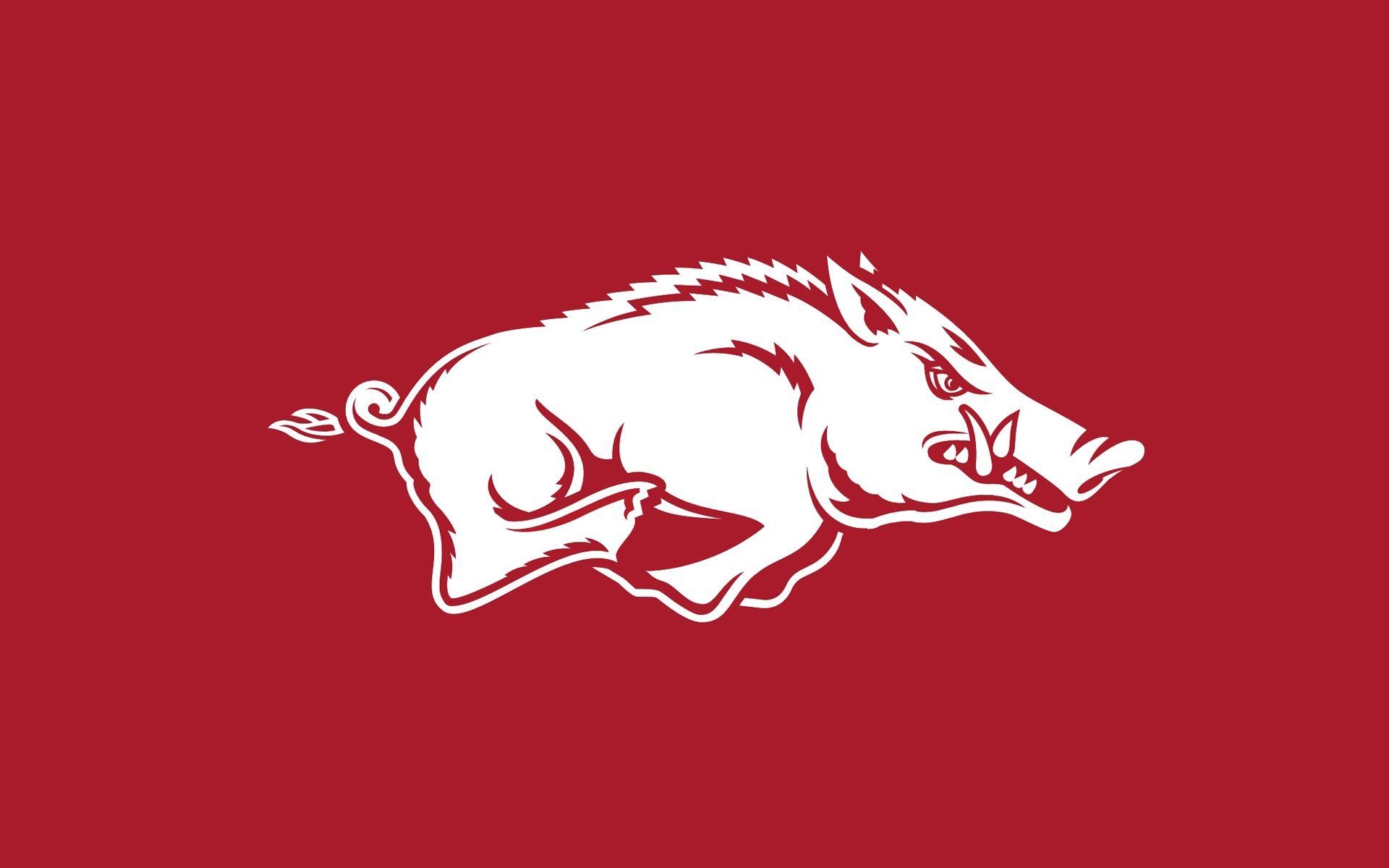 1920x1200 Razorback Wallpaper Free, Desktop