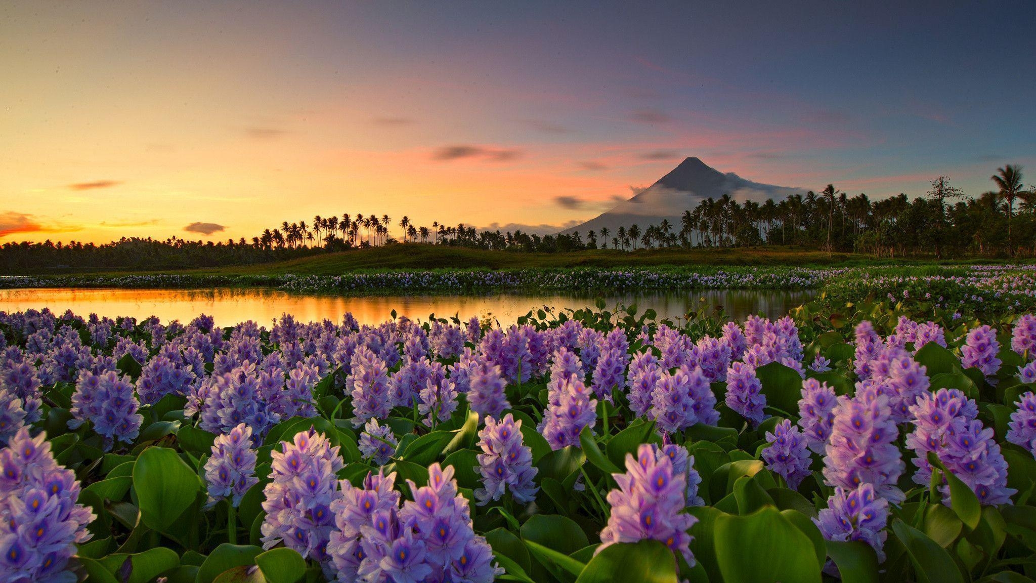 2050x1160 Mayon Volcano at distance, Philippines, Desktop